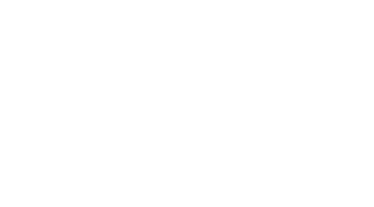 Brisk